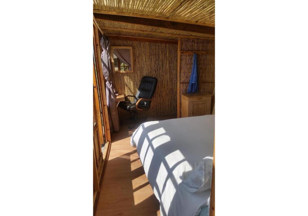 Treehouse ,Casa Arbol, With Spa アルガロボ エクステリア 写真