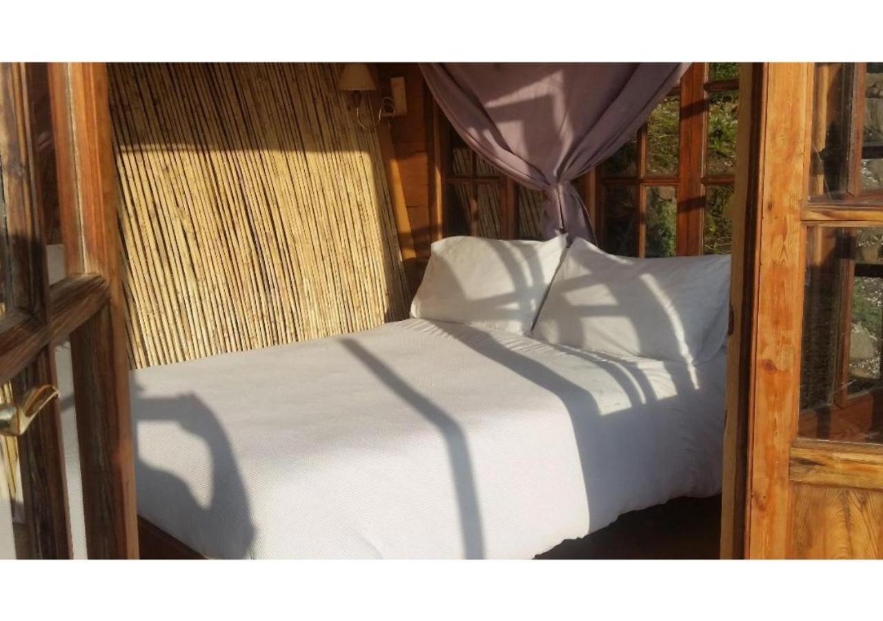 Treehouse ,Casa Arbol, With Spa アルガロボ エクステリア 写真