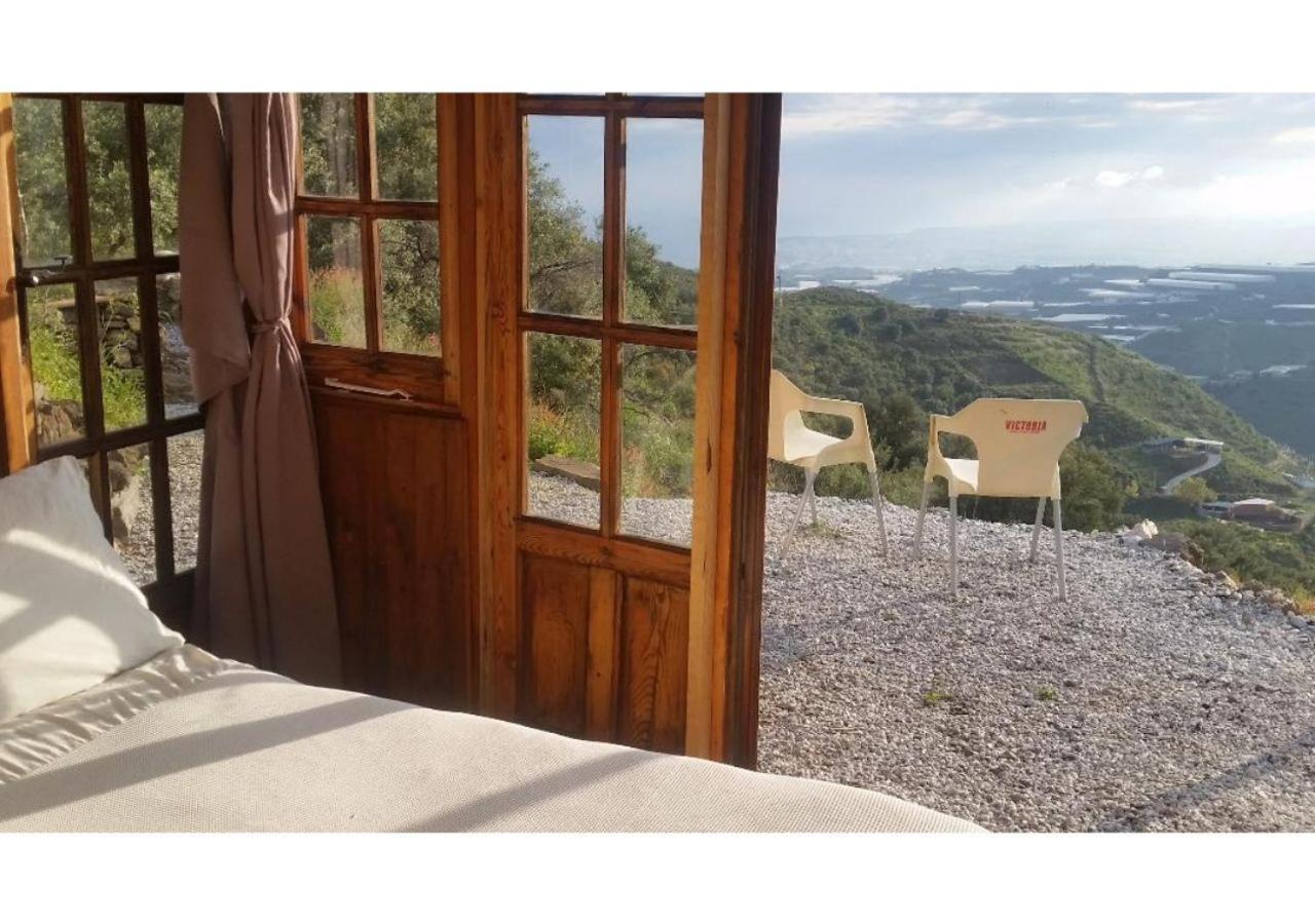 Treehouse ,Casa Arbol, With Spa アルガロボ エクステリア 写真