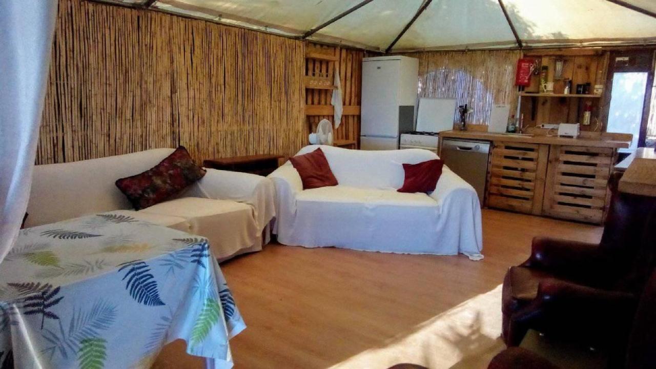 Treehouse ,Casa Arbol, With Spa アルガロボ エクステリア 写真