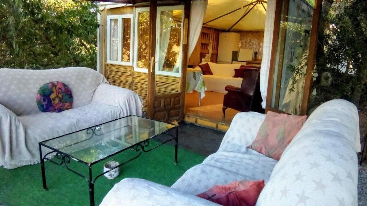 Treehouse ,Casa Arbol, With Spa アルガロボ エクステリア 写真