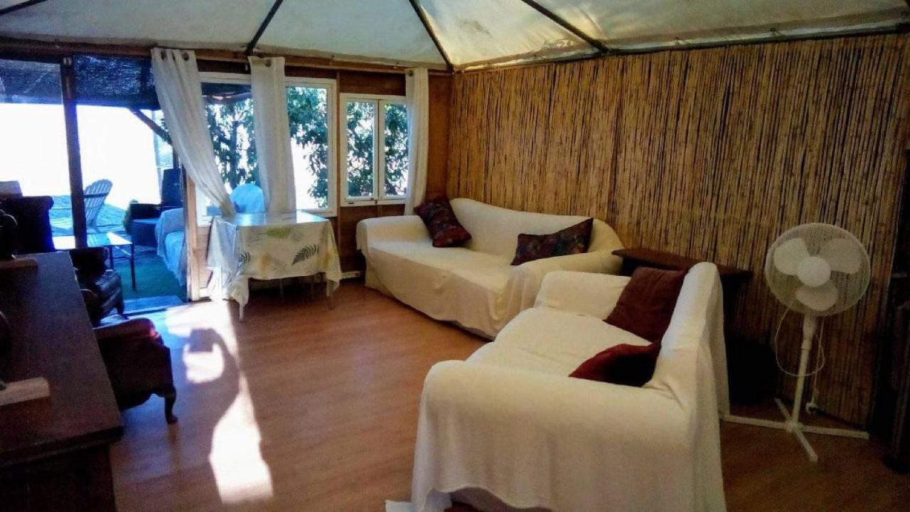 Treehouse ,Casa Arbol, With Spa アルガロボ エクステリア 写真